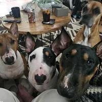 processed/d96ea9ba-b525-4186-b828-2e234b8d0a62/facility/0974583f-d6fd-4110-b739-7892852e35a4