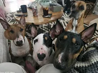 processed/d96ea9ba-b525-4186-b828-2e234b8d0a62/facility/0974583f-d6fd-4110-b739-7892852e35a4