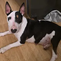 processed/d96ea9ba-b525-4186-b828-2e234b8d0a62/facility/0b29ce21-b7bf-4819-9f2a-ce79e5a3461d