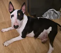 processed/d96ea9ba-b525-4186-b828-2e234b8d0a62/facility/0b29ce21-b7bf-4819-9f2a-ce79e5a3461d