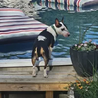 processed/d96ea9ba-b525-4186-b828-2e234b8d0a62/facility/0e9310dc-464d-4e10-8e87-d4c104844409