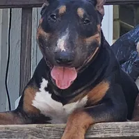 processed/d96ea9ba-b525-4186-b828-2e234b8d0a62/facility/1c835304-08cf-4f0a-88d1-0eff7cc610e5