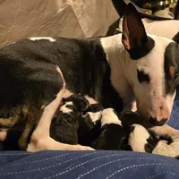 processed/d96ea9ba-b525-4186-b828-2e234b8d0a62/facility/31551f28-9c32-41c3-a9ba-fdd810fc4da4