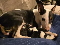 processed/d96ea9ba-b525-4186-b828-2e234b8d0a62/facility/31551f28-9c32-41c3-a9ba-fdd810fc4da4