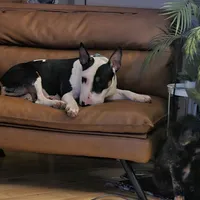 processed/d96ea9ba-b525-4186-b828-2e234b8d0a62/facility/b3006fdd-1e2c-48e3-b229-10ac4643165e