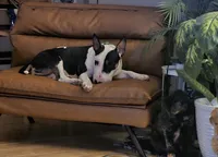 processed/d96ea9ba-b525-4186-b828-2e234b8d0a62/facility/b3006fdd-1e2c-48e3-b229-10ac4643165e