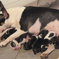 processed/d96ea9ba-b525-4186-b828-2e234b8d0a62/facility/c150af87-bff7-4dae-ad9a-760dc1daf06f