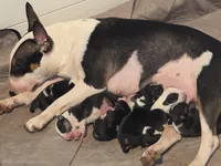 processed/d96ea9ba-b525-4186-b828-2e234b8d0a62/facility/c150af87-bff7-4dae-ad9a-760dc1daf06f