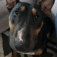 processed/d96ea9ba-b525-4186-b828-2e234b8d0a62/facility/c48a1012-f460-44f5-a9c8-15e0eb541523