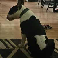 processed/d96ea9ba-b525-4186-b828-2e234b8d0a62/facility/e5f8267e-e2b7-4ba4-a943-67abae036988