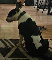 processed/d96ea9ba-b525-4186-b828-2e234b8d0a62/facility/e5f8267e-e2b7-4ba4-a943-67abae036988