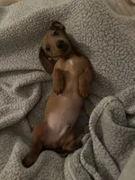 processed/d973d02c-c7e3-4618-b00e-8de975d6043e/listing/2ece9d90-53f2-46e7-b283-3750df9f1470/c2d8ec5b-1f2f-4463-b1b9-03887cdbe040