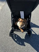 processed/d973d02c-c7e3-4618-b00e-8de975d6043e/listing/2ece9d90-53f2-46e7-b283-3750df9f1470/e7f345f6-4a84-4467-aa20-d4ae8a416ee9