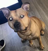 processed/d9772be3-1c79-4ba4-ba07-63117334615b/listing/7dc0ebc9-9d1c-4002-9646-a832aa4c809d/1c0a0fed-f19d-4e66-ab39-43a1228d6b4f