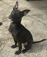 processed/d9772be3-1c79-4ba4-ba07-63117334615b/listing/7dc0ebc9-9d1c-4002-9646-a832aa4c809d/64acae27-3237-49a0-bd9b-b95e4e8f560d