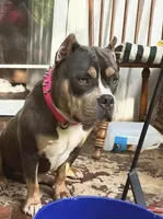 processed/d9772be3-1c79-4ba4-ba07-63117334615b/listing/7dc0ebc9-9d1c-4002-9646-a832aa4c809d/9bf17ef3-ba1d-4662-8441-5fb6c8fab7b5