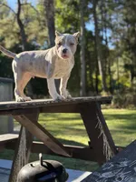 processed/d9772be3-1c79-4ba4-ba07-63117334615b/listing/8064d041-bb98-4f8c-b610-8503f6c2f64f/22be7311-9e83-48ca-89b3-11b4ecdcea1f