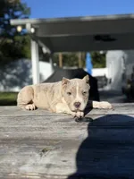 processed/d9772be3-1c79-4ba4-ba07-63117334615b/listing/8064d041-bb98-4f8c-b610-8503f6c2f64f/23b0fd72-5dc7-4c62-9ed7-7fffcf05992c