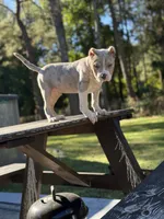 processed/d9772be3-1c79-4ba4-ba07-63117334615b/listing/8064d041-bb98-4f8c-b610-8503f6c2f64f/9ec56d52-596c-4bb1-8770-1cea45bb0fc7