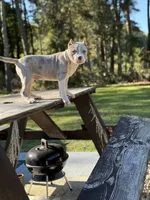 processed/d9772be3-1c79-4ba4-ba07-63117334615b/listing/8064d041-bb98-4f8c-b610-8503f6c2f64f/a7c89a2d-7c2c-4a3f-8245-5d1d54223303