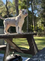 processed/d9772be3-1c79-4ba4-ba07-63117334615b/listing/8064d041-bb98-4f8c-b610-8503f6c2f64f/c18f6081-f118-444d-a9d4-0d12ccae4c13