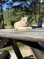 processed/d9772be3-1c79-4ba4-ba07-63117334615b/listing/8064d041-bb98-4f8c-b610-8503f6c2f64f/db0685d2-b1ea-4740-9098-81783801e1dd