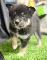 processed/d9844e17-1642-4209-839b-7e0039feccfd/listing/689736c5-adc8-477a-81a1-fa5572163f92/419820a3-b43d-471d-bfa6-0ab50779ce2e