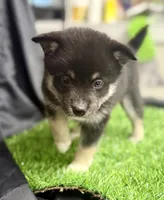 processed/d9844e17-1642-4209-839b-7e0039feccfd/listing/689736c5-adc8-477a-81a1-fa5572163f92/45b79d3a-fd7d-4dc9-9e19-5de379a23ae7