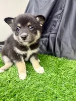 processed/d9844e17-1642-4209-839b-7e0039feccfd/listing/689736c5-adc8-477a-81a1-fa5572163f92/791fd6bf-8e09-44e5-aa7a-f9cff4bafae0