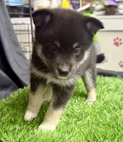 processed/d9844e17-1642-4209-839b-7e0039feccfd/listing/689736c5-adc8-477a-81a1-fa5572163f92/7b75aabf-10dc-4c04-a34c-f77101727295