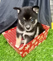 processed/d9844e17-1642-4209-839b-7e0039feccfd/listing/689736c5-adc8-477a-81a1-fa5572163f92/7ddc6760-66e5-46f3-aff2-32b3daef302e