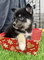 processed/d9844e17-1642-4209-839b-7e0039feccfd/listing/689736c5-adc8-477a-81a1-fa5572163f92/9c8e0b7d-ce32-468e-b0fb-149d512415e2