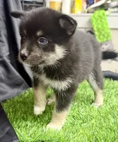 processed/d9844e17-1642-4209-839b-7e0039feccfd/listing/689736c5-adc8-477a-81a1-fa5572163f92/a8f44b78-4bfe-40da-ae33-47c0707736fb