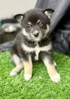 processed/d9844e17-1642-4209-839b-7e0039feccfd/listing/689736c5-adc8-477a-81a1-fa5572163f92/b290c07f-0afe-46e7-a56f-e750c31734d6