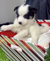 processed/d9844e17-1642-4209-839b-7e0039feccfd/listing/7539e784-4c0a-466d-ad93-e75e560695df/198602b8-9738-459e-b550-9db76f1e4e58