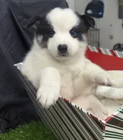 processed/d9844e17-1642-4209-839b-7e0039feccfd/listing/7539e784-4c0a-466d-ad93-e75e560695df/1d67f0bd-0510-4f24-afdb-21112a4756b5