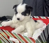 processed/d9844e17-1642-4209-839b-7e0039feccfd/listing/7539e784-4c0a-466d-ad93-e75e560695df/623a4b5e-83d7-45c0-b930-377c14c6337e