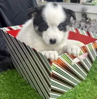 processed/d9844e17-1642-4209-839b-7e0039feccfd/listing/7539e784-4c0a-466d-ad93-e75e560695df/a038ba9a-cf9d-4630-aa12-9e3e9cc8761e