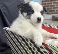 processed/d9844e17-1642-4209-839b-7e0039feccfd/listing/7539e784-4c0a-466d-ad93-e75e560695df/bda06a9a-aec1-4e84-97e1-07beef6e64be