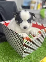 processed/d9844e17-1642-4209-839b-7e0039feccfd/listing/7539e784-4c0a-466d-ad93-e75e560695df/e2ed3ec6-1a7d-4875-aebb-1df88005cb4d