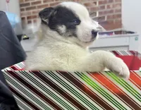 processed/d9844e17-1642-4209-839b-7e0039feccfd/listing/7539e784-4c0a-466d-ad93-e75e560695df/f4ca23e0-07b6-496c-8efc-49a39f2d881a