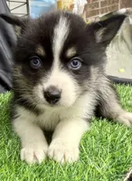 processed/d9844e17-1642-4209-839b-7e0039feccfd/listing/b6961f67-73e0-4f28-a2e9-ebdaf5975fbd/1f9cc901-6e73-44e4-b746-da09daaa8555