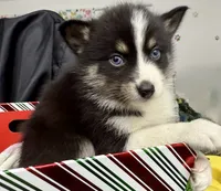 processed/d9844e17-1642-4209-839b-7e0039feccfd/listing/b6961f67-73e0-4f28-a2e9-ebdaf5975fbd/3fae5080-e537-443b-b89d-f7b6296226c8