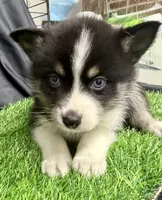 processed/d9844e17-1642-4209-839b-7e0039feccfd/listing/b6961f67-73e0-4f28-a2e9-ebdaf5975fbd/5ea6babb-df5c-450b-931a-83dab8cfb2a3