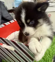 processed/d9844e17-1642-4209-839b-7e0039feccfd/listing/b6961f67-73e0-4f28-a2e9-ebdaf5975fbd/f0f7eced-332f-433c-8380-0aaac86afd2d