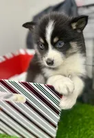 processed/d9844e17-1642-4209-839b-7e0039feccfd/listing/b6961f67-73e0-4f28-a2e9-ebdaf5975fbd/f43a80d5-e78e-43c1-94e2-b8e1a6630633