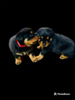 processed/d98618eb-d23e-4c45-9328-82dd4c631b43/facility/0b7cd8e9-bc7f-45fb-9ebe-987fee549326