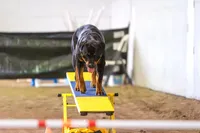 processed/d98618eb-d23e-4c45-9328-82dd4c631b43/facility/3a39698d-9762-4a8f-9355-7bb41a048984