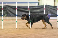 processed/d98618eb-d23e-4c45-9328-82dd4c631b43/facility/692e3294-80d9-4e2b-8384-790502ee856e