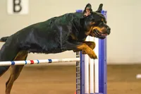 processed/d98618eb-d23e-4c45-9328-82dd4c631b43/facility/7138bc4e-0eda-4a54-82d0-9fabd0f3fafd